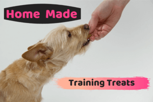 blog home made training treats animal talent 35