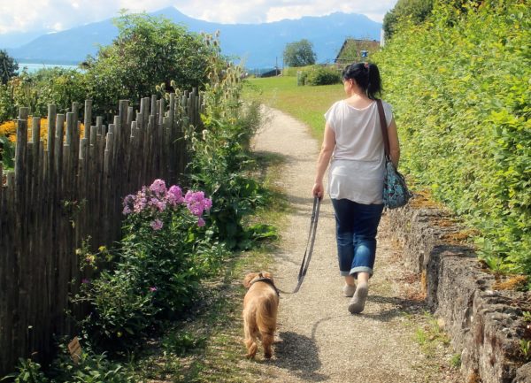 Person loose lead walking a dog